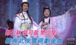 樊少皇电视剧全集古装,穿越时空的华丽演绎